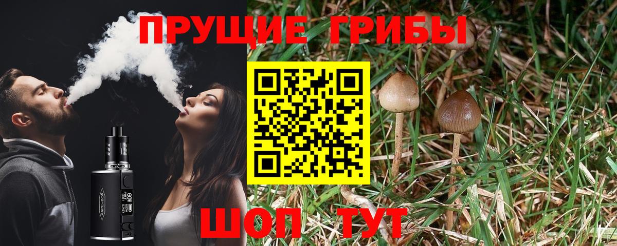 Ейск  Галлюциногенные грибы мухоморы  Вход с VPN  Псилоцибиновые грибы Psilocybine cubensis 